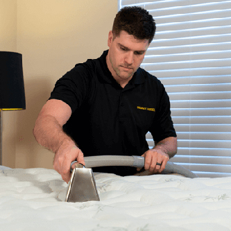 carpet cleaning in the Bronx, carpet cleaning in the Bronx, carpet cleaning the Bronx, carpet cleaners in the Bronx, carpet cleaners in the Bronx, commercial carpet cleaning, commercial carpet cleaning in the Bronx, the Bronx rug cleaners, rug cleaning services in the Bronx, same day carpet cleaning, same day rug cleaning