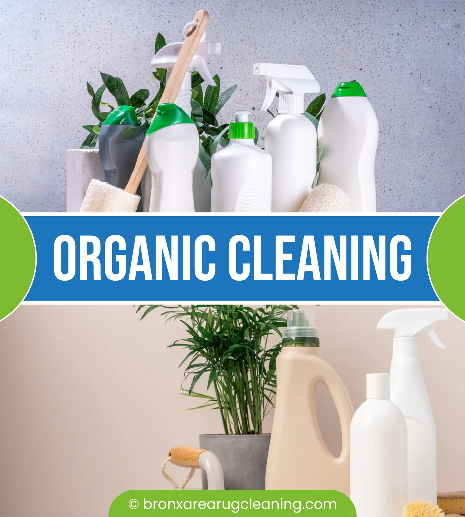 carpet cleaning in the Bronx, carpet cleaning in the Bronx, carpet cleaning the Bronx, carpet cleaners in the Bronx, carpet cleaners in the Bronx, commercial carpet cleaning, commercial carpet cleaning in the Bronx, the Bronx rug cleaners, rug cleaning services in the Bronx, same day carpet cleaning, same day rug cleaning